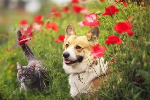 Spring Has Sprung!