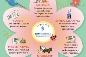 Spring Pet Safety